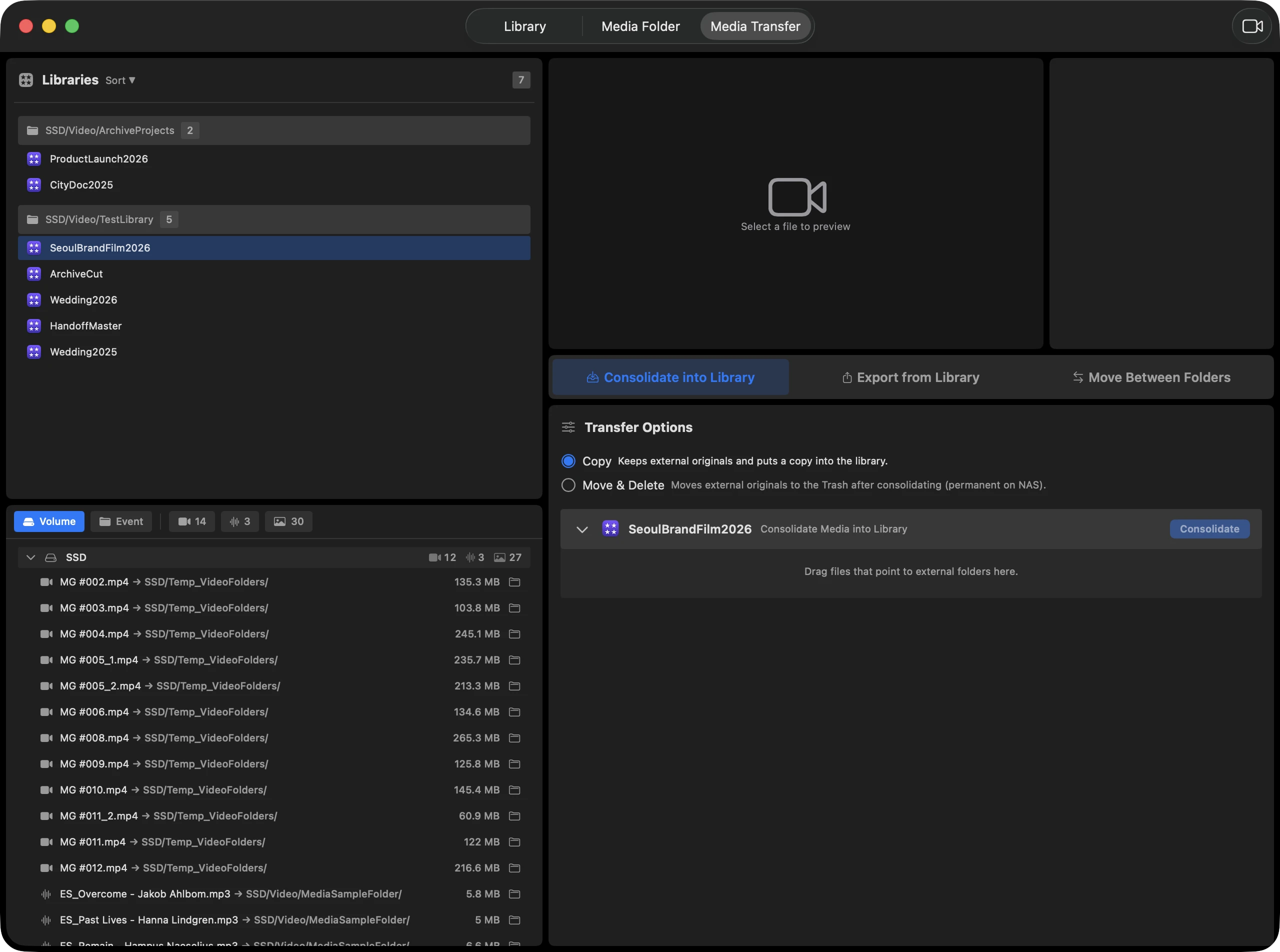 Screenshot of Library Embed queue and result sheet